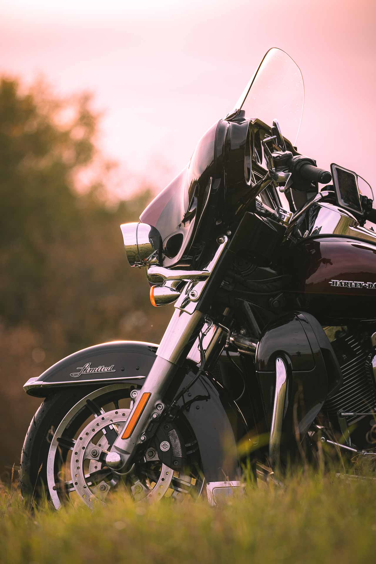 Photo par Théo Cotten